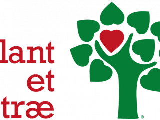 Køb vores æske og støt Plant et træ